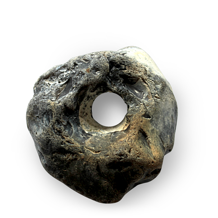 Lochstein oder Hühnergott